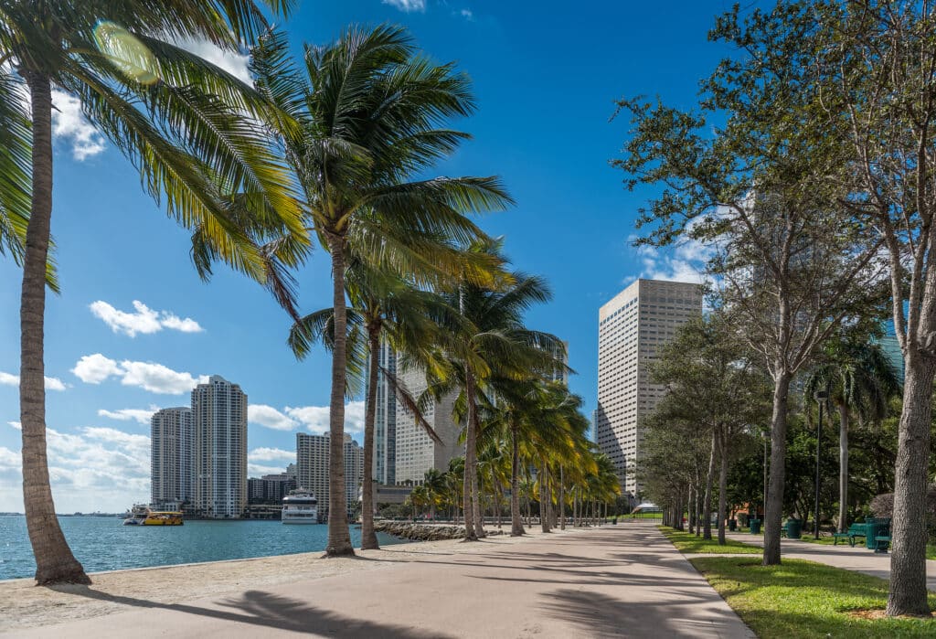 Places to Explore In Miami