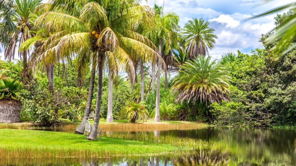 Botanical Gardens in Miami – Discover the Ultimate Travel Destinations