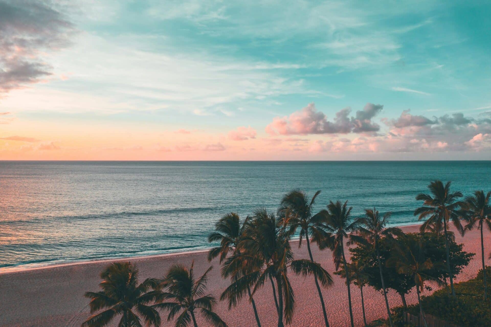 South Beach to Hard Rock Stadium | Luxury Rentals Miami Beach 